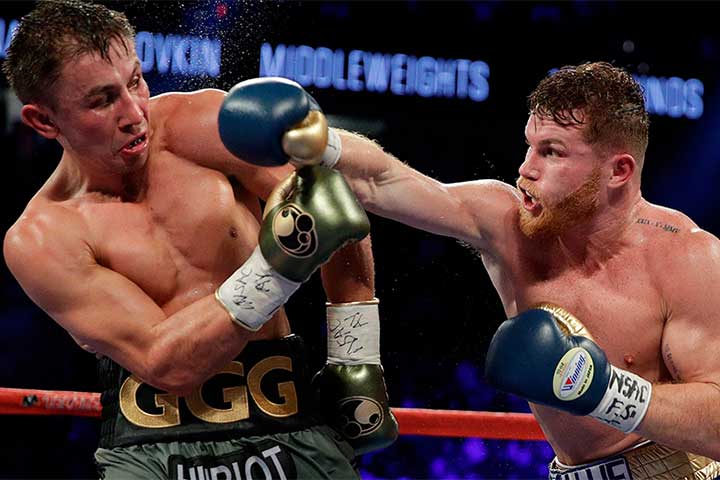 canelo 3