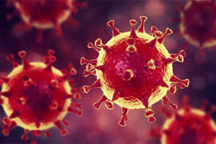 coronavirus 3