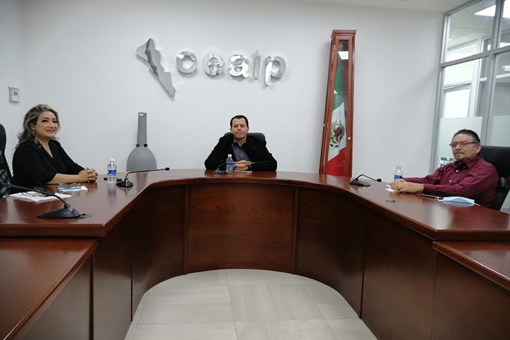 nuevo pleno