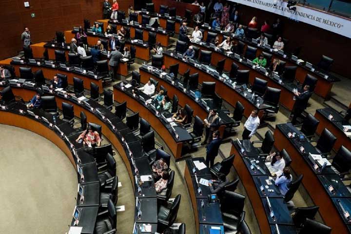 senado